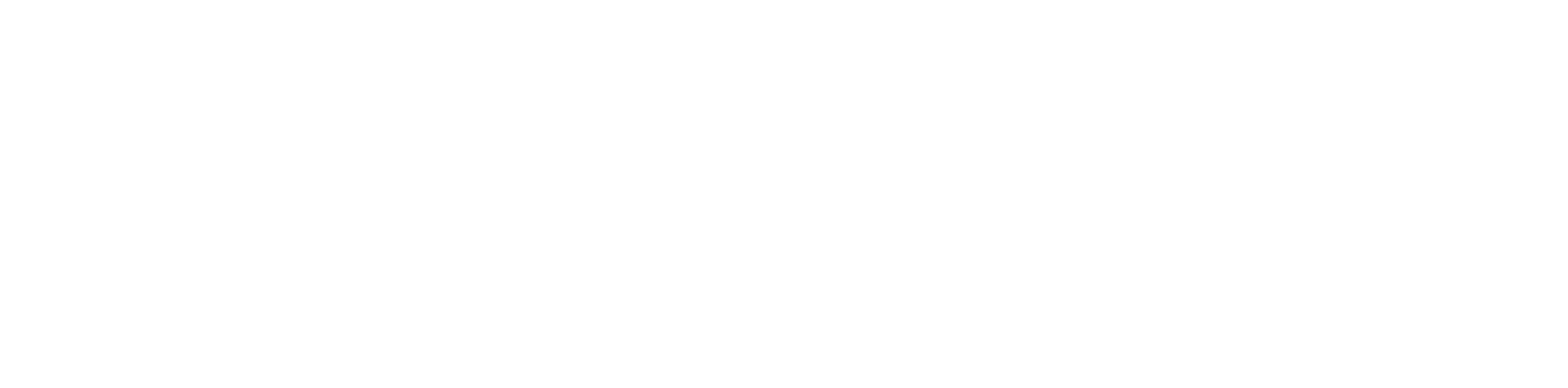 Videntium